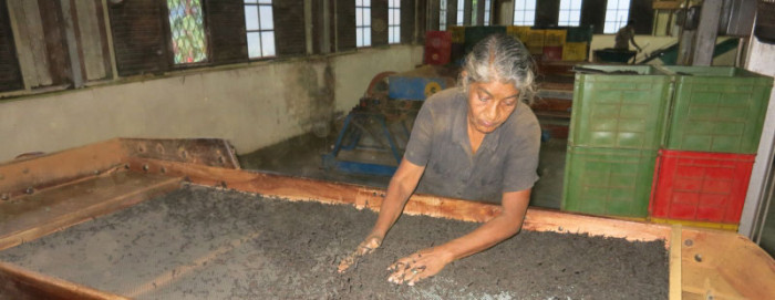 Sri-Lanka Teefabrik