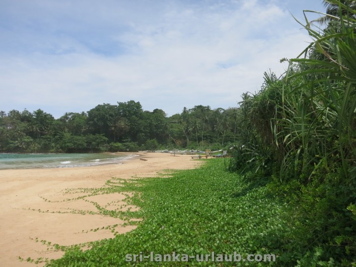 Talalla Beach Sri Lanka
